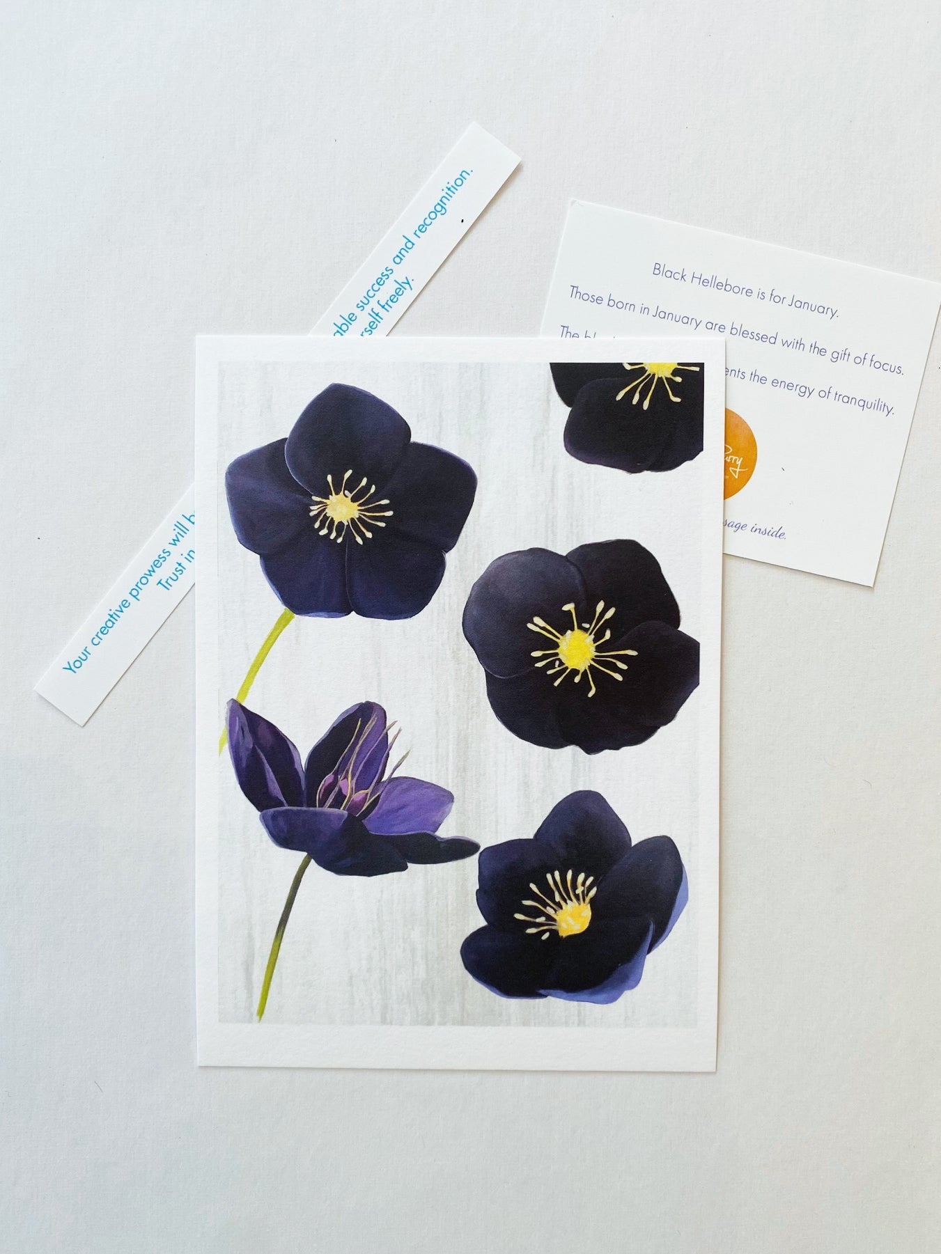 💚 January: Black Hellebore