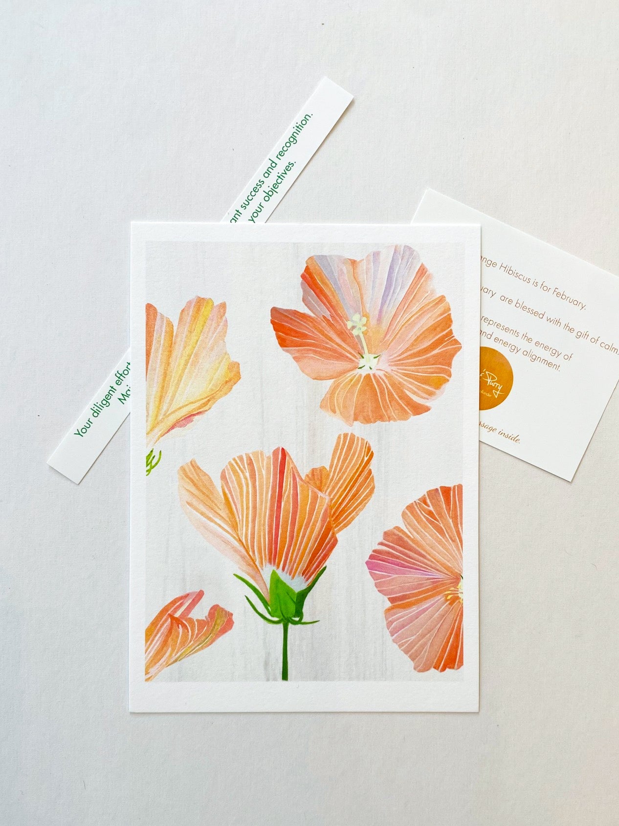 💚 February: Orange Hibiscus