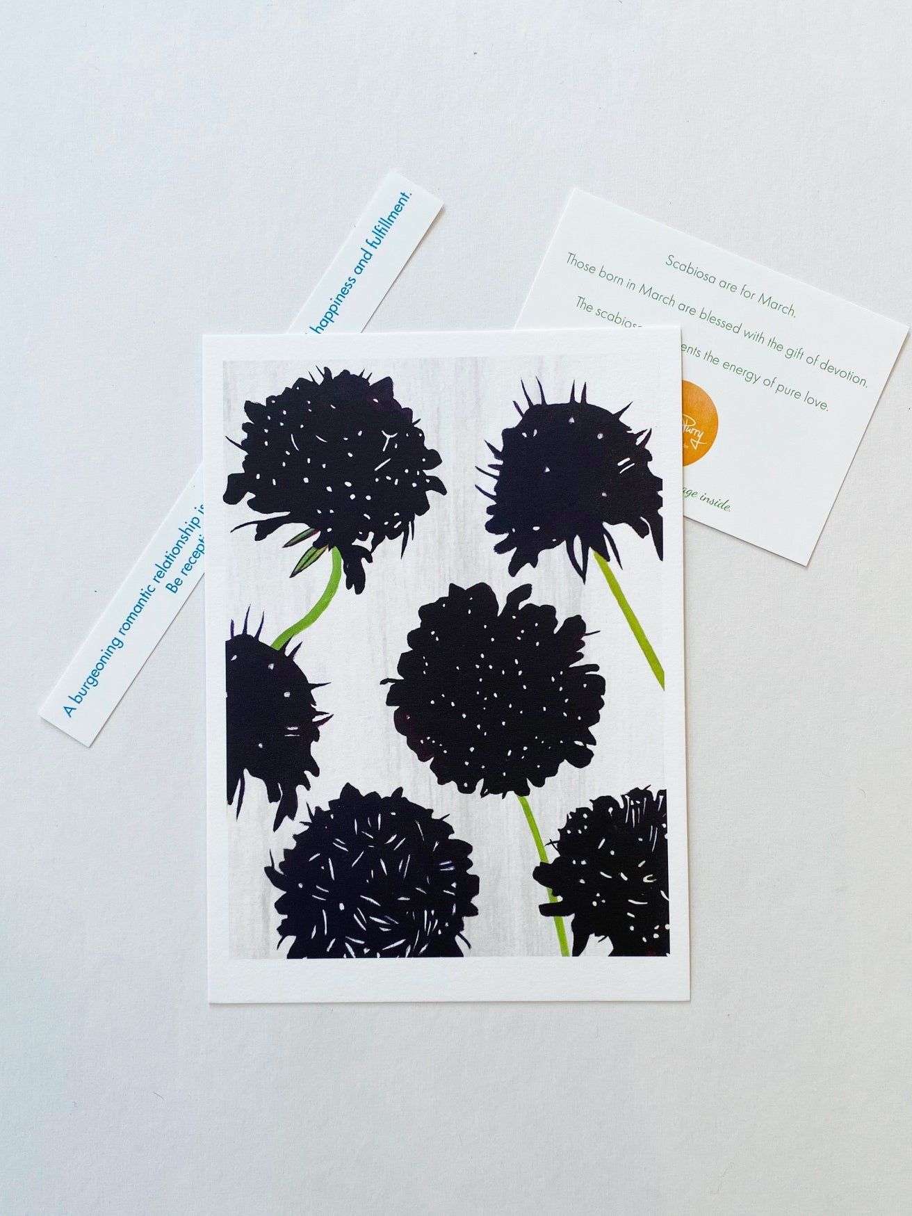💚 March: Black Scabiosa