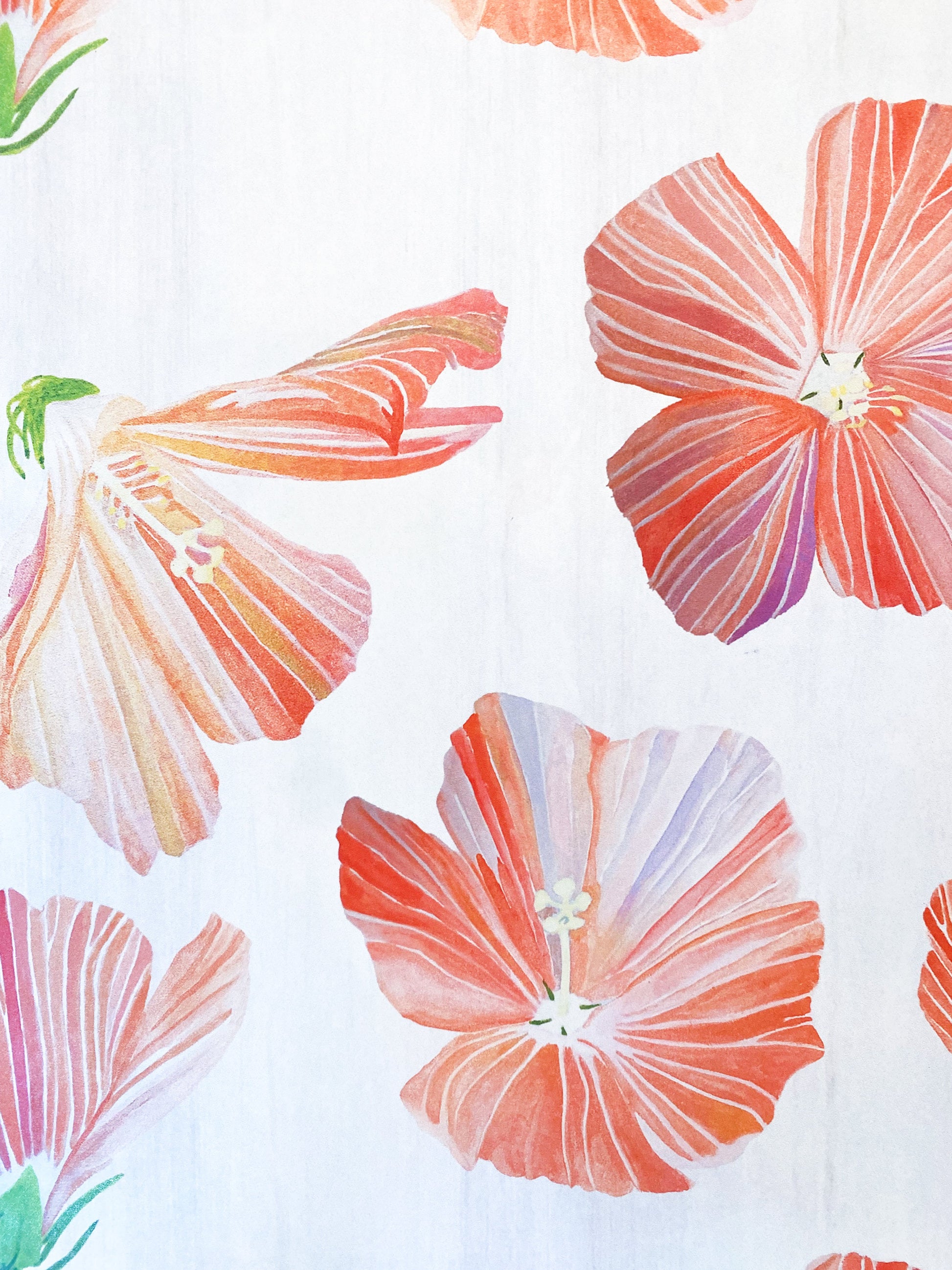 💚 Gift Wrap:  Hibiscus on Snow