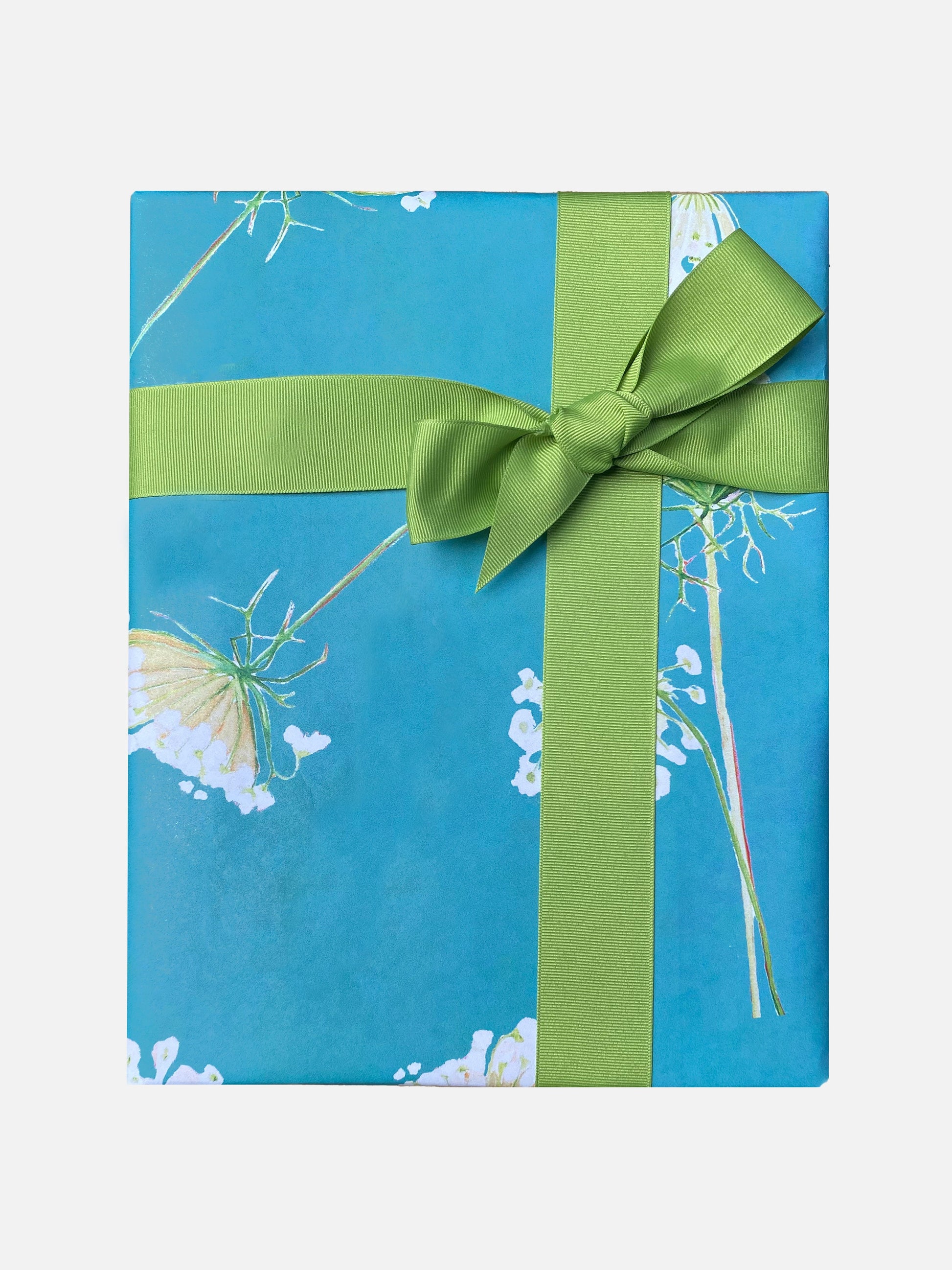 💚 Gift Wrap:  Queen Anne's Lace on Teal