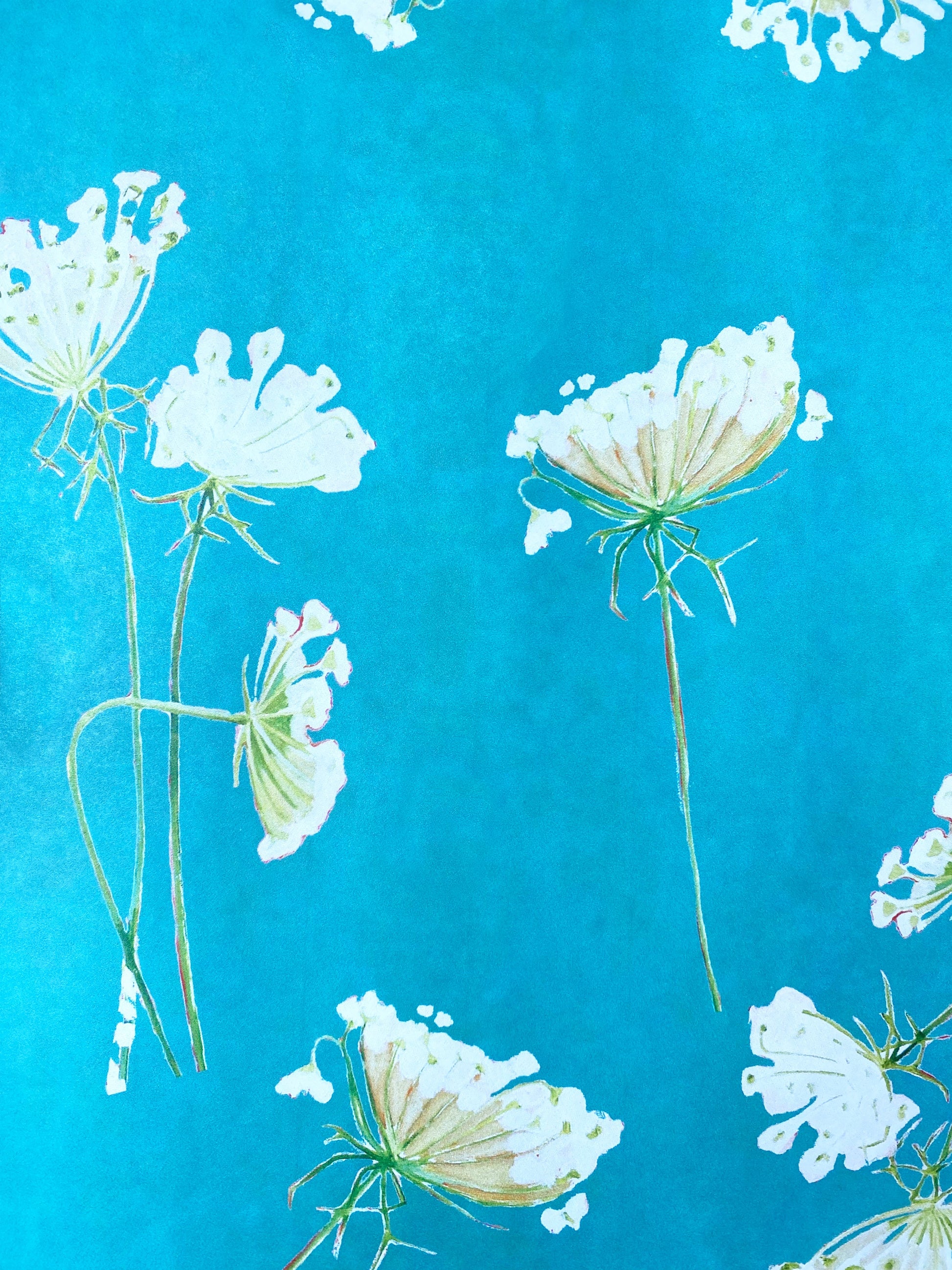 💚 Gift Wrap:  Queen Anne's Lace on Teal