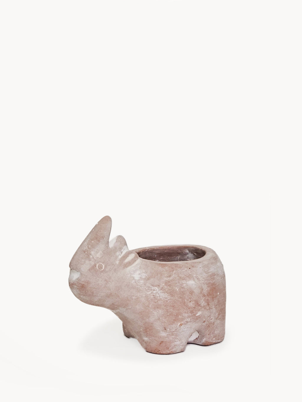 📦 Terracotta Pot - Rhino