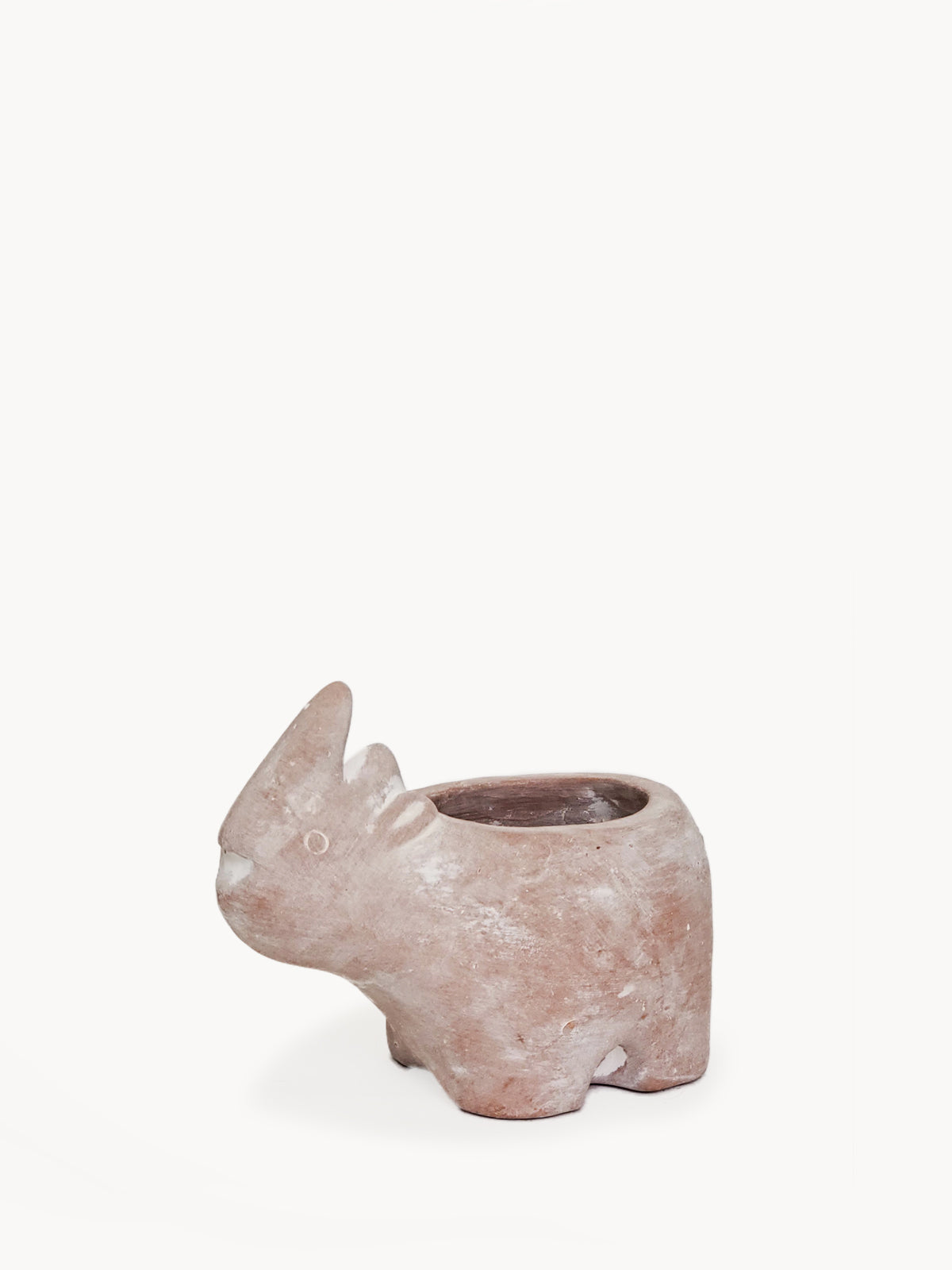 📦 Terracotta Pot - Rhino