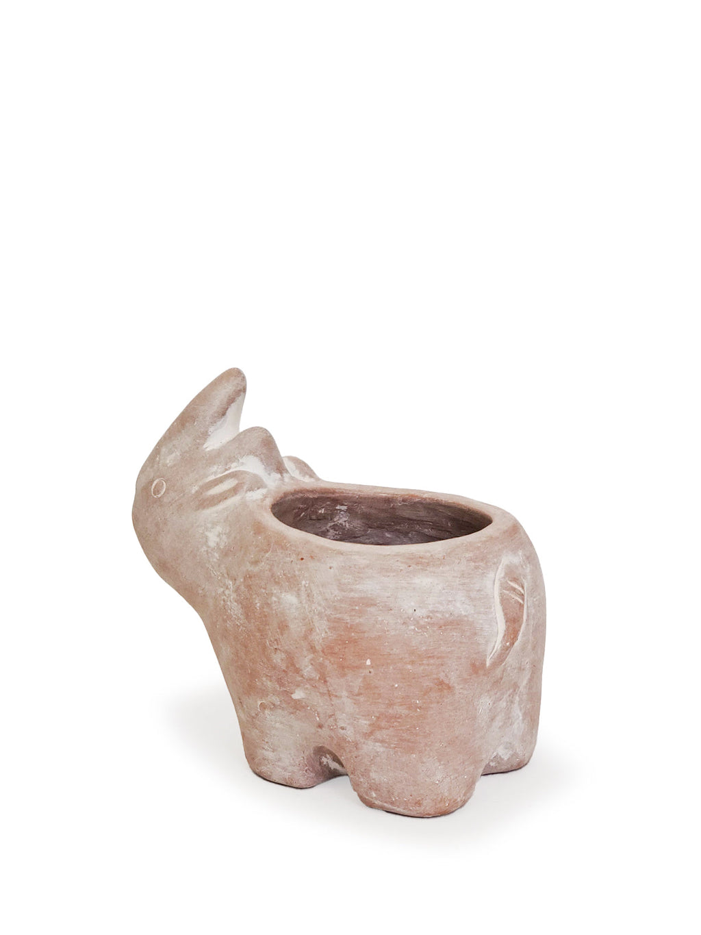 📦 Terracotta Pot - Rhino
