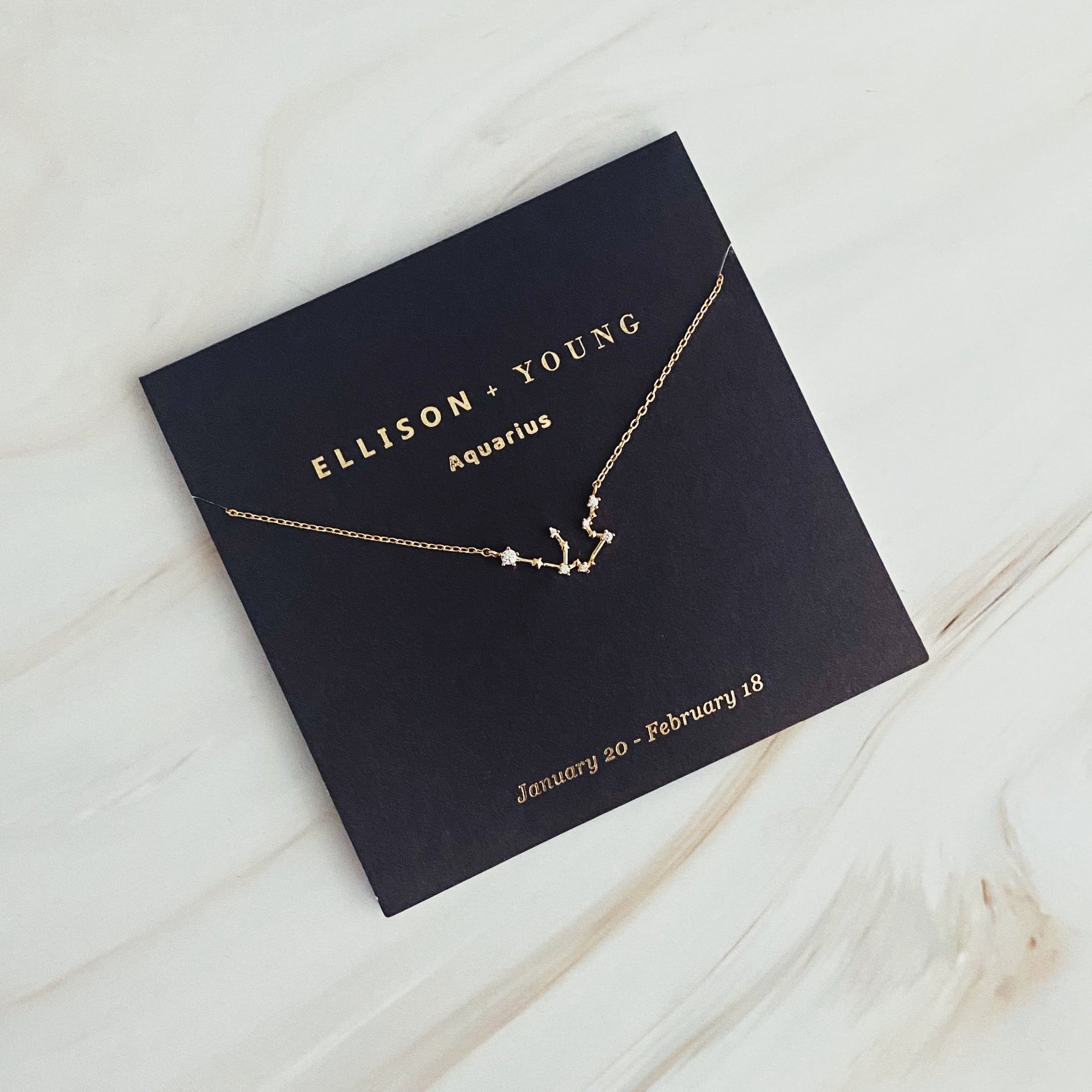 🧡 Zodiac Collection Necklace