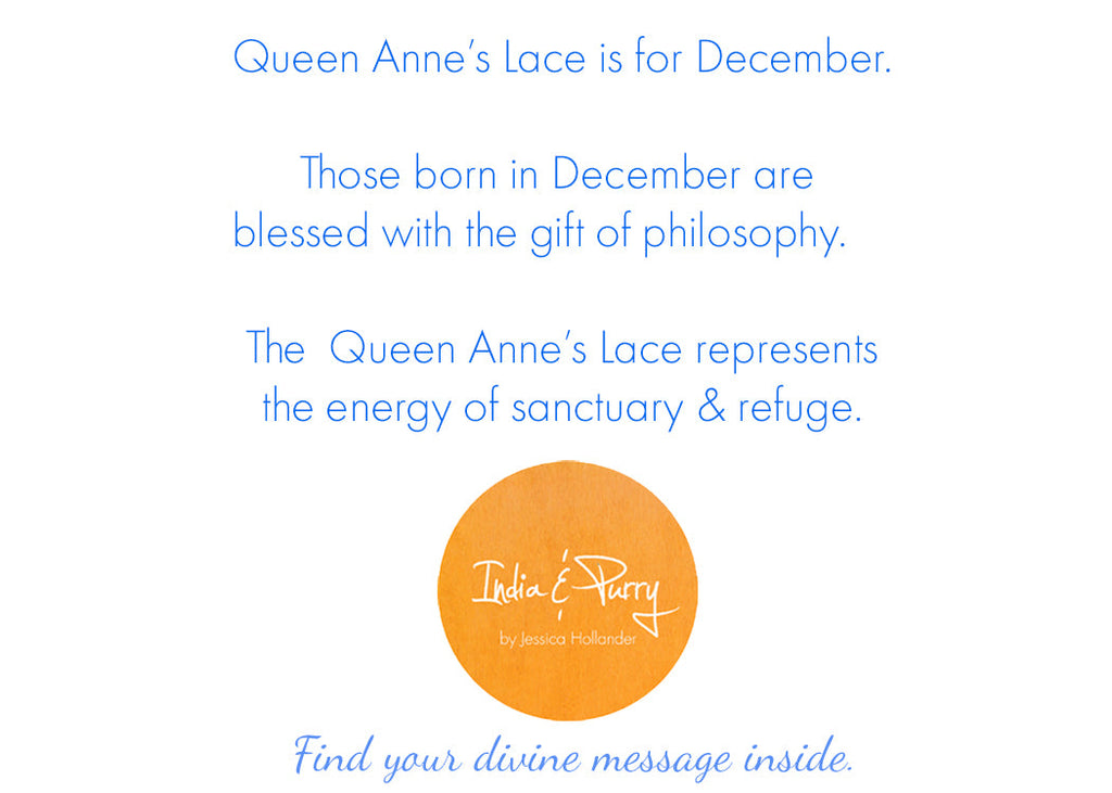 💚 December:  Queen Anne's Lace