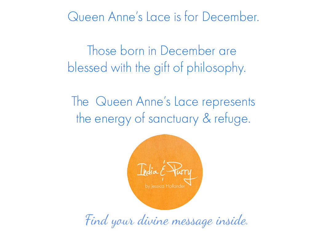 💚 December:  Queen Anne's Lace