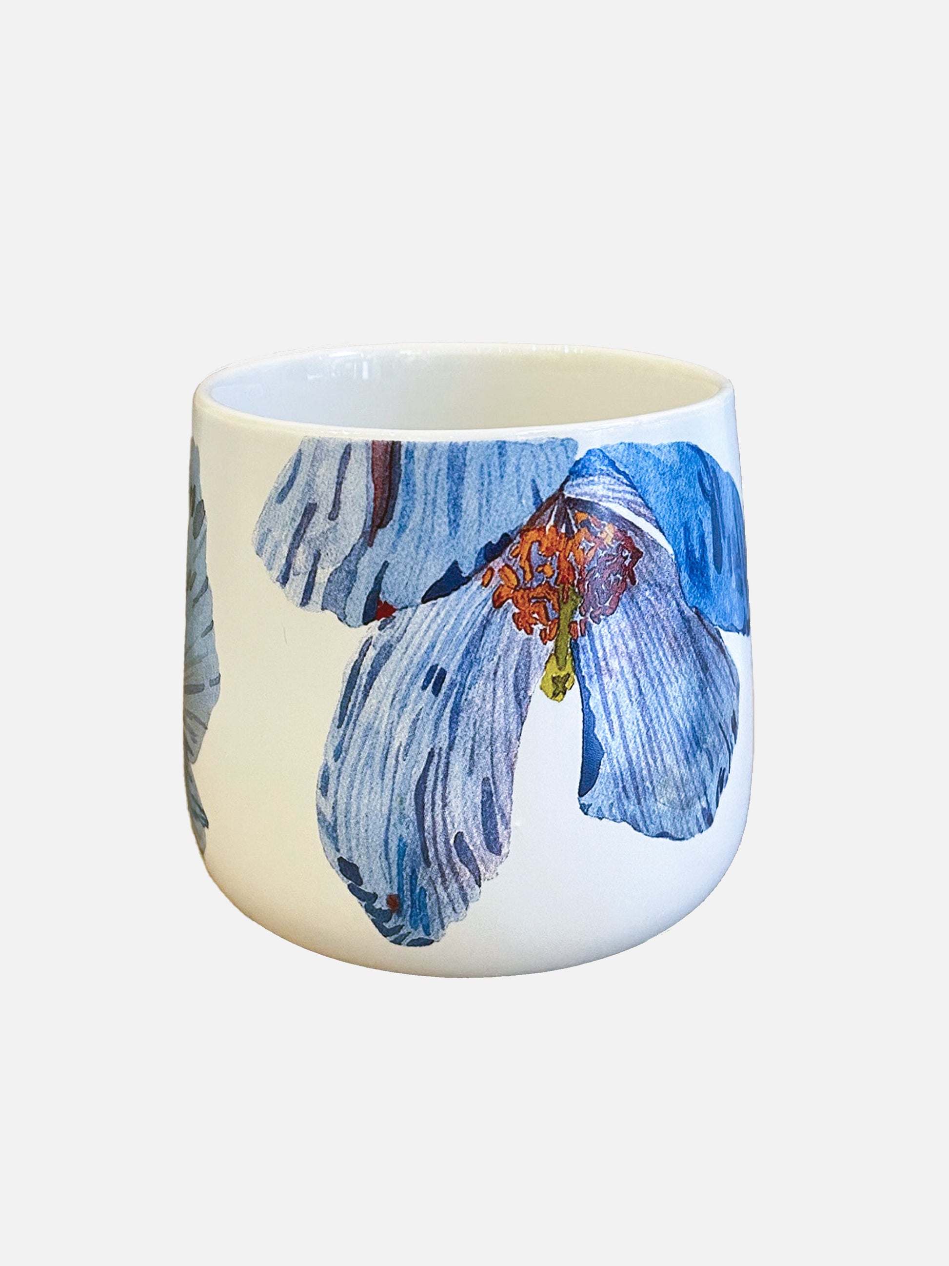💚 Porcelain Mug:  Himalayan Blue Poppies