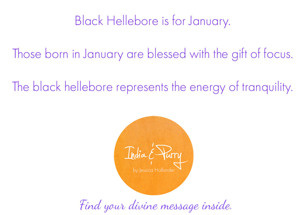 💚 January:  Black Hellebore
