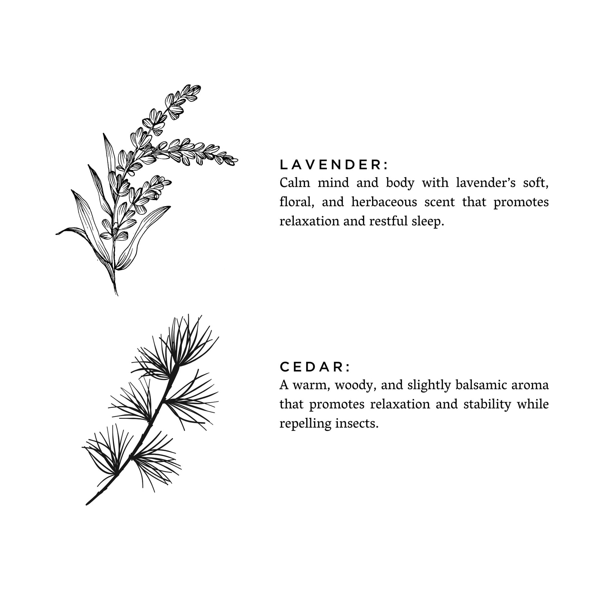 ☼ Lavender + Cedar - Reed Diffuser
