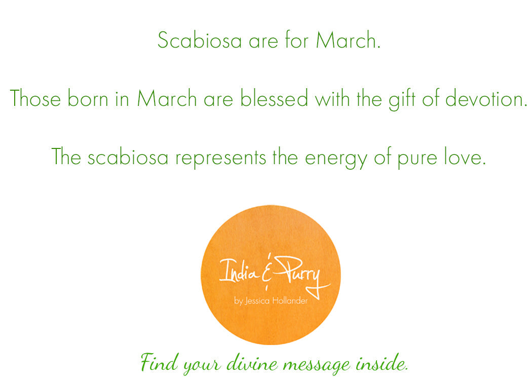 💚 March:  Black Scabiosa
