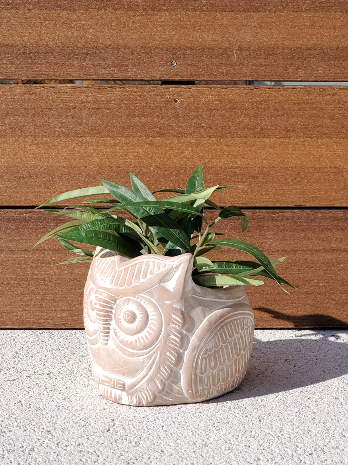 📦 Terracotta Pot - Horned Owl