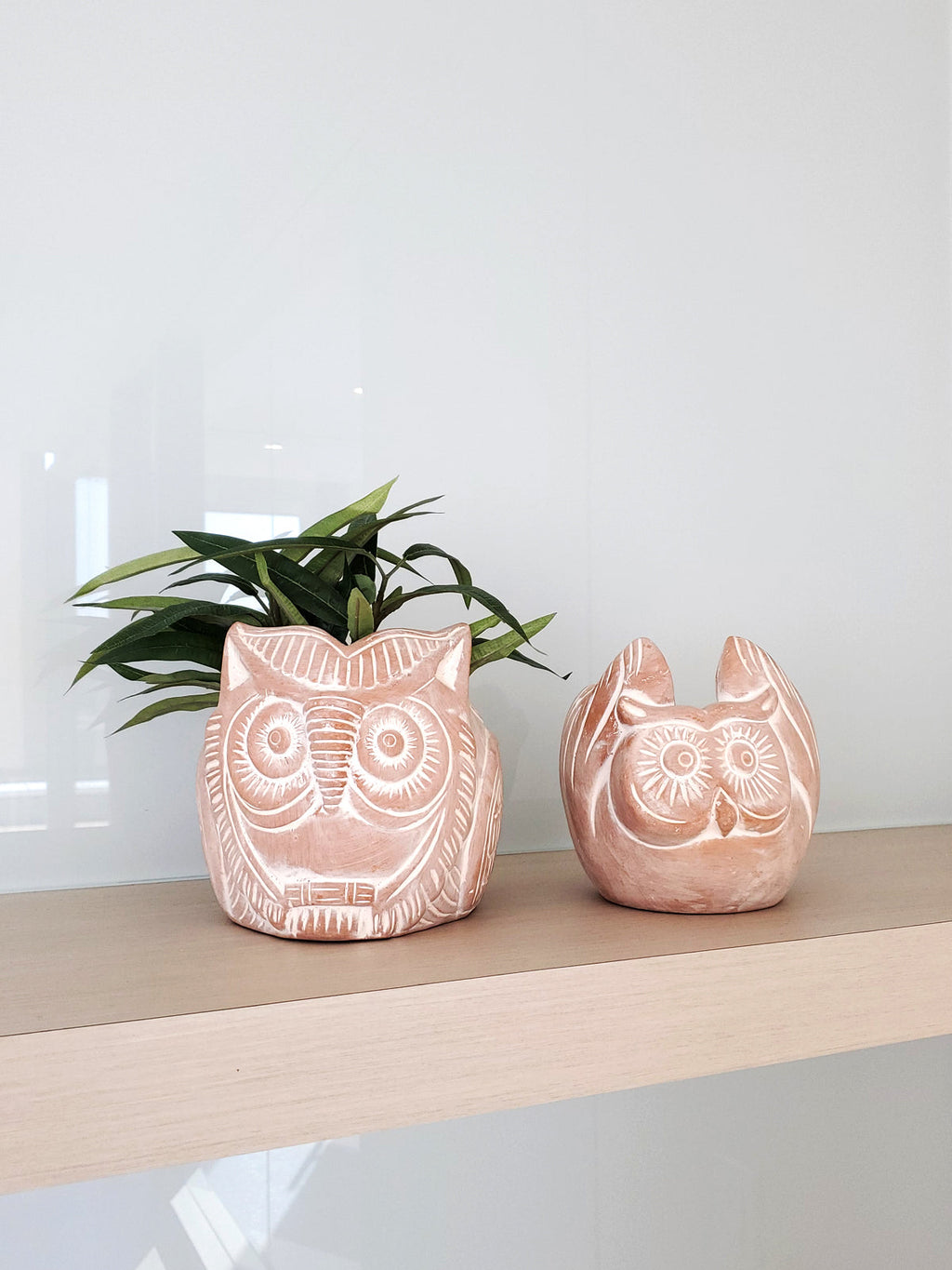 📦 Terracotta Pot - Horned Owl