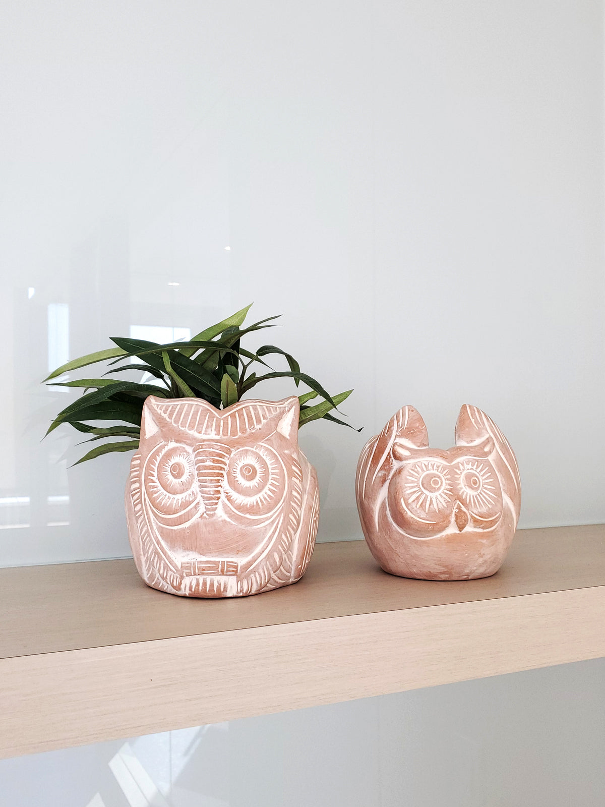 📦 Terracotta Pot - Horned Owl