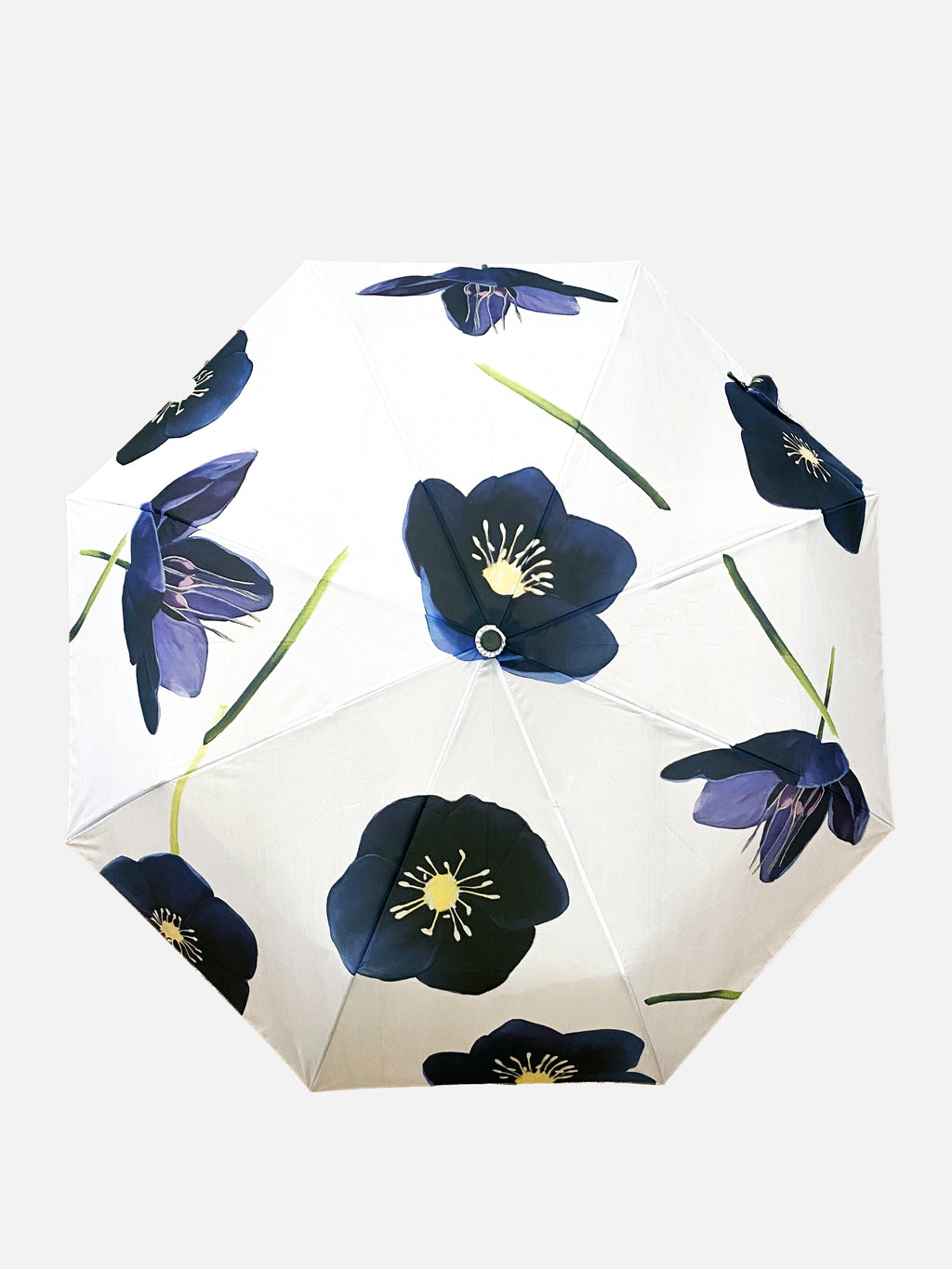 💚 Umbrella:  Black Hellebore on Snow