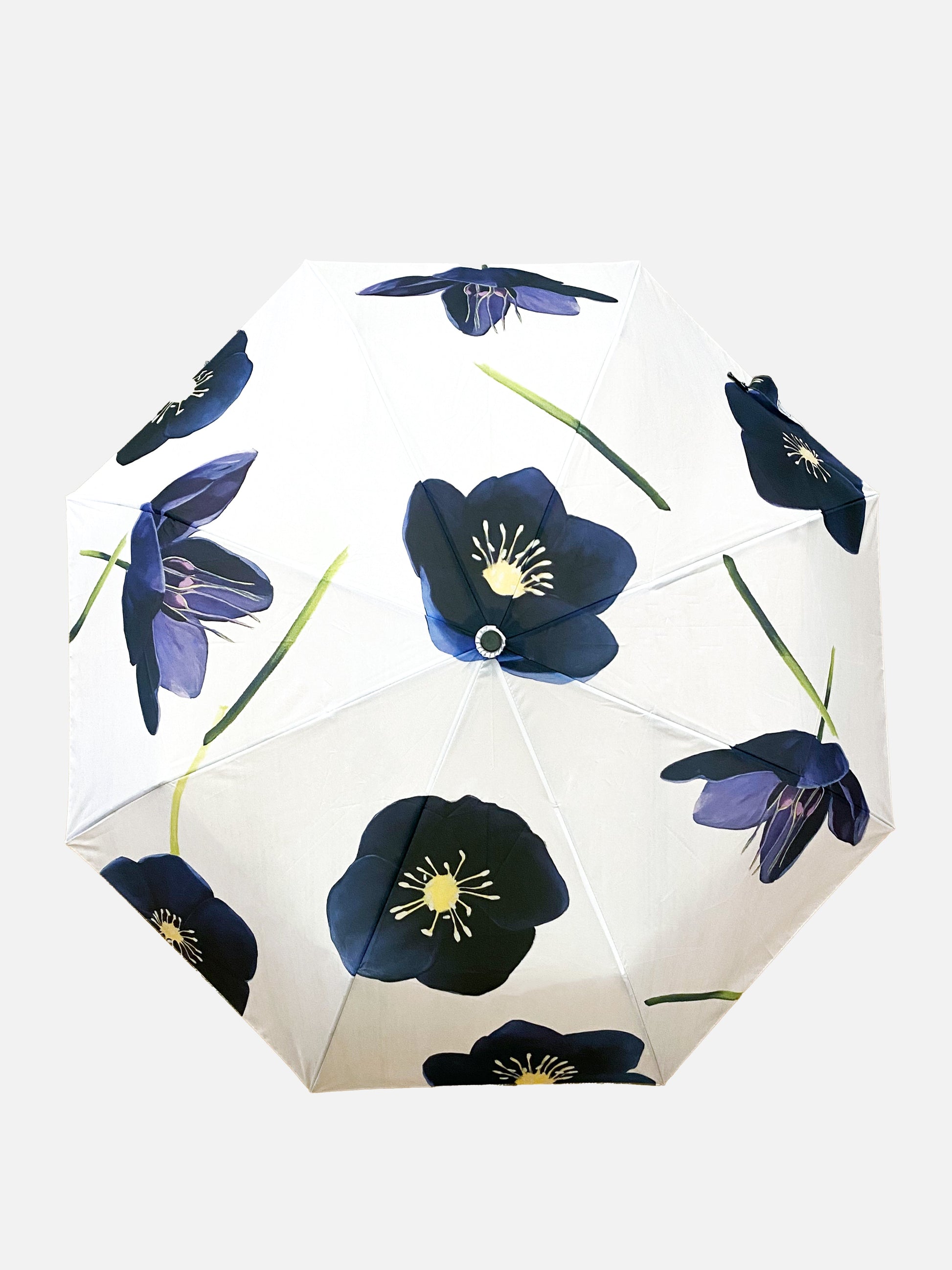 💚 Umbrella:  Black Hellebore on Snow