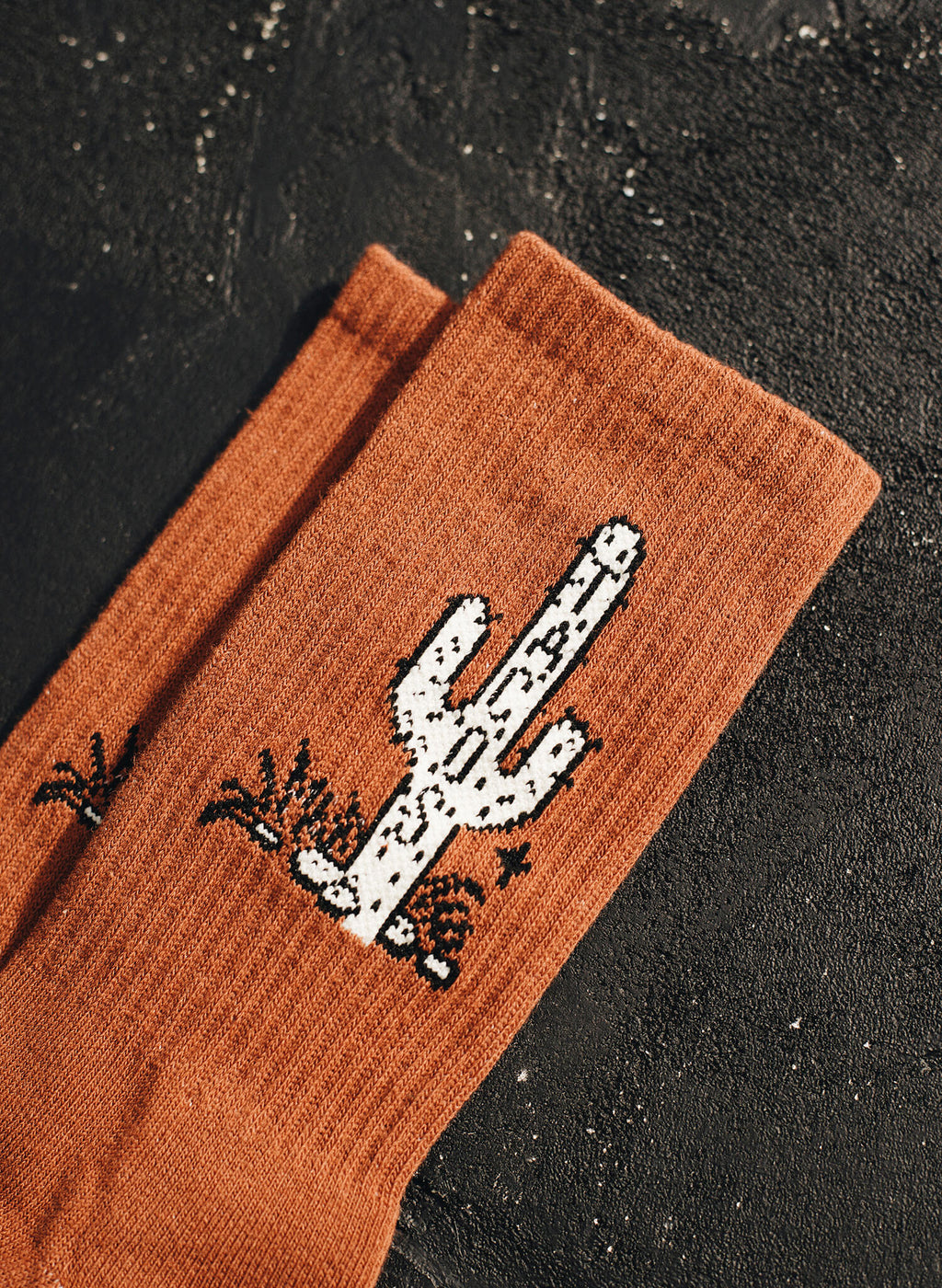 Cactus Taco Socks